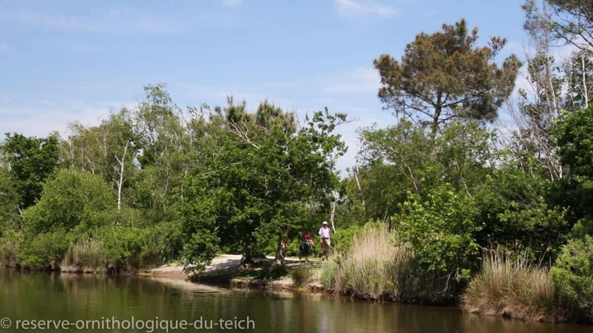 Jolie villa Louisiane 6 couchages avec Piscine sans vis à vis Mios Extérieur photo